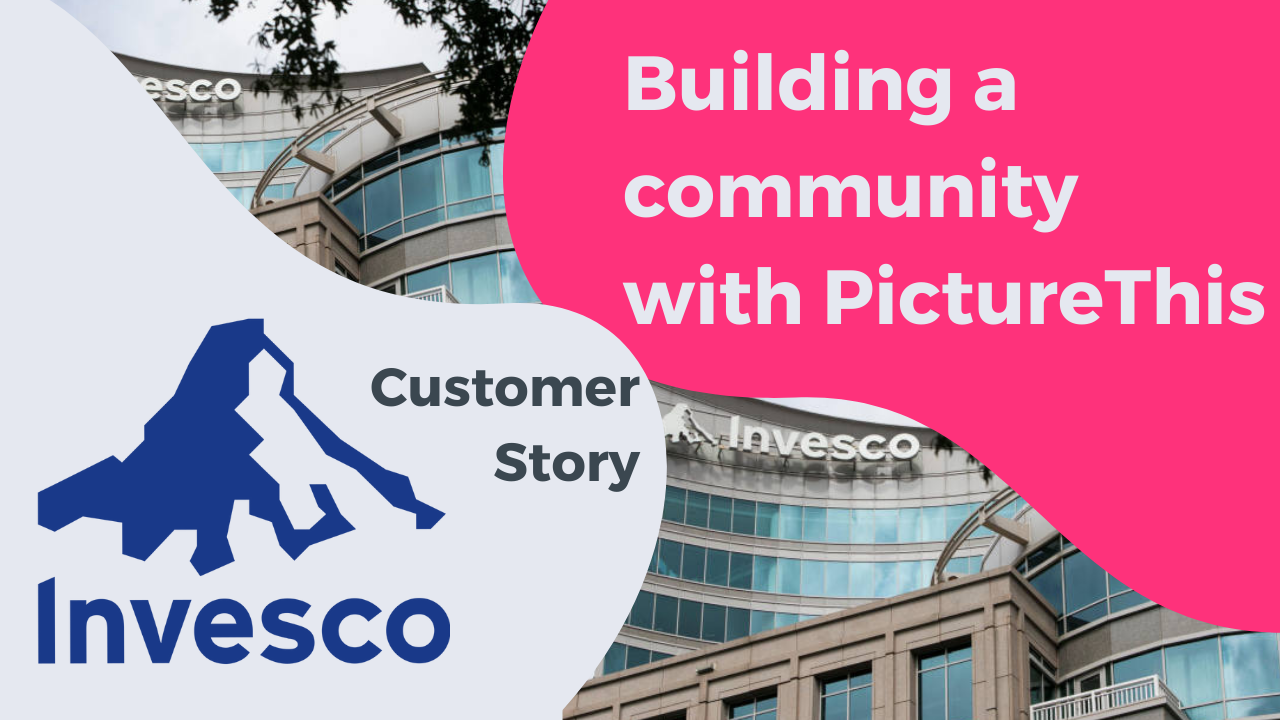 How Invesco built a community with PictureThis