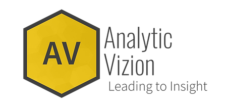 Analitic vizion_Partner